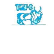 Daily Sindh Tribune 